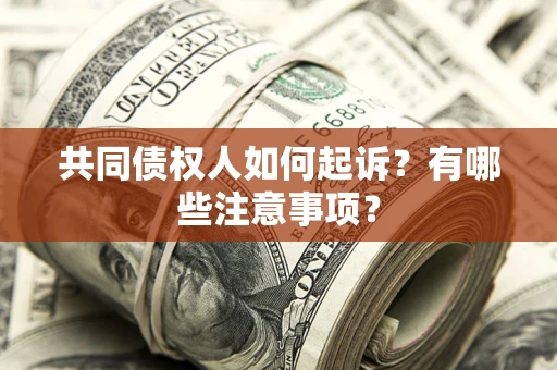 济南共同债权人如何起诉？有哪些注意事项？